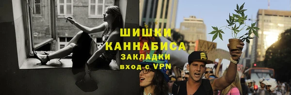 ГАЛЛЮЦИНОГЕННЫЕ ГРИБЫ Горнозаводск