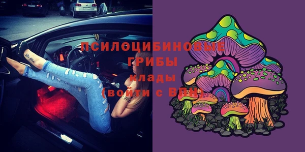 2c-b Гусь-Хрустальный