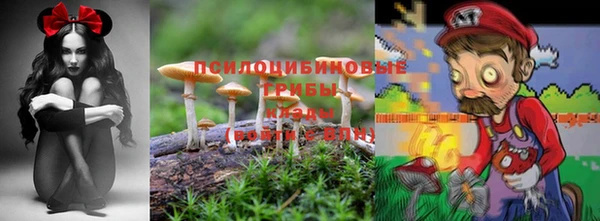 прущие грибы Гусев