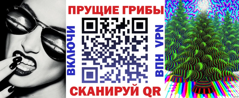 Псилоцибиновые грибы Psilocybine cubensis Духовщина