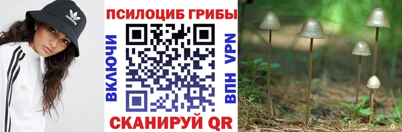 OMG онион  где найти   Духовщина  Псилоцибиновые грибы Cubensis 