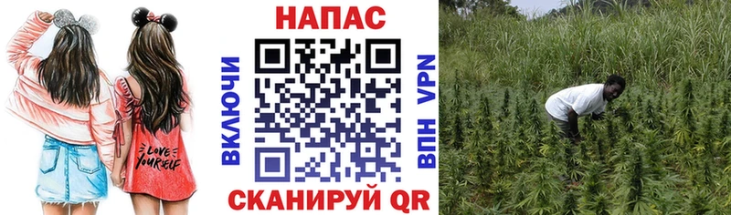 Бошки Шишки SATIVA & INDICA  купить закладку  MEGA онион  Духовщина 
